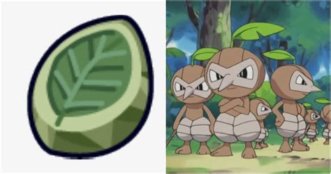 Leaf Stone .